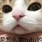 top cat slot rtp <Municipalities with landslide warning information> ■ Omura City [New] ■ Higashisonogi Town [New] slot 81